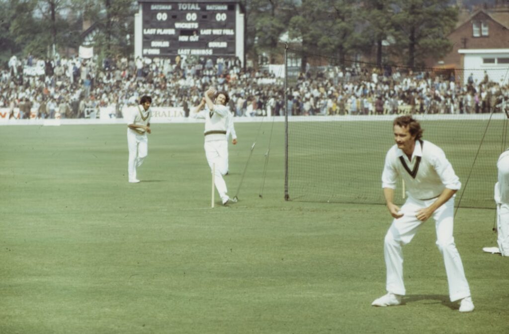 The Fascinating World of Field Crickets