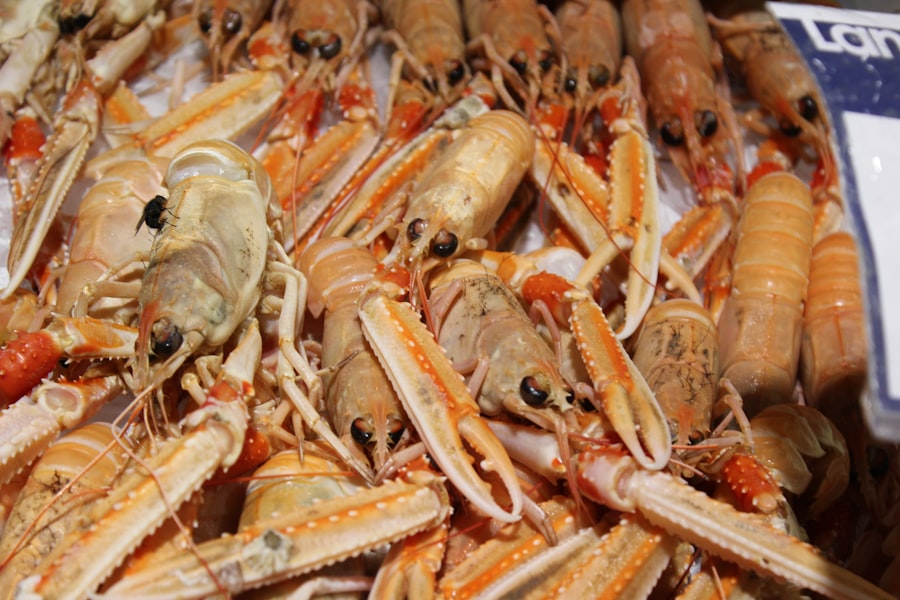 Coconut Crab