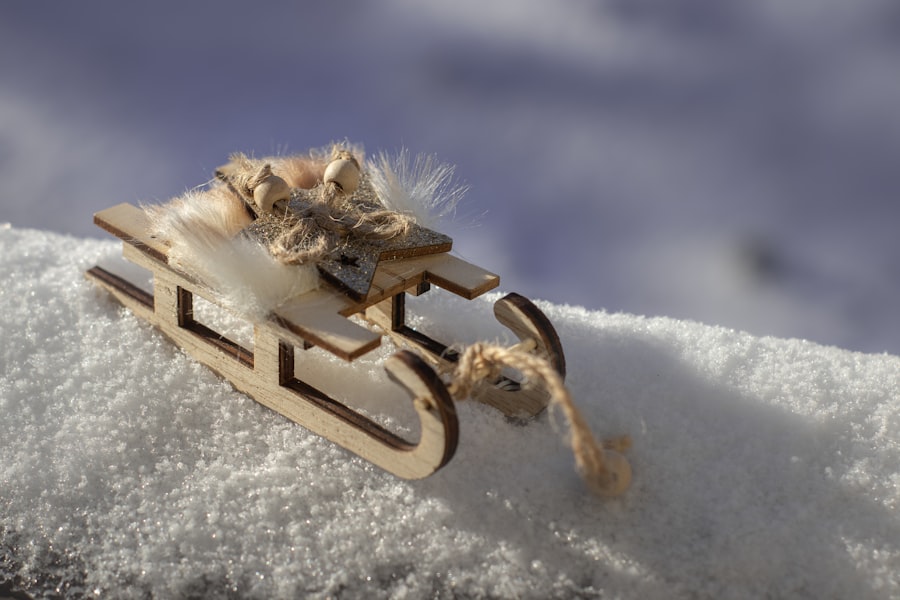 Photo Snow Shrimp