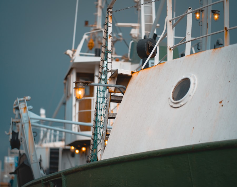 Photo Marine Ostracod