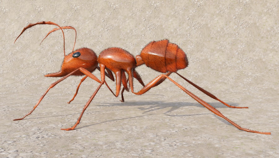 Army Ant
